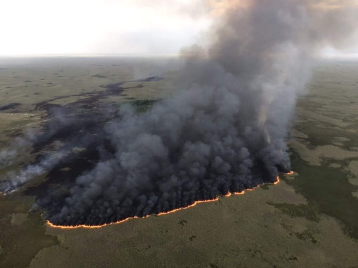 Aerial view of the Vulture Fire’s southern edge (looking north) in Everglades National Park
